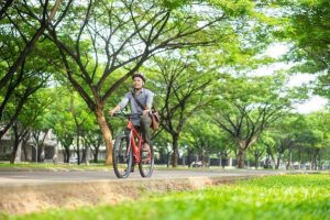 2 dari 5 daftar rekomendasi pohon peneduh yang cocok di Indonesia.