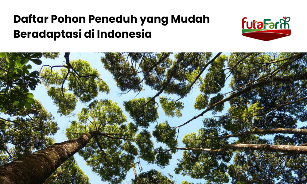 Pohon perindang