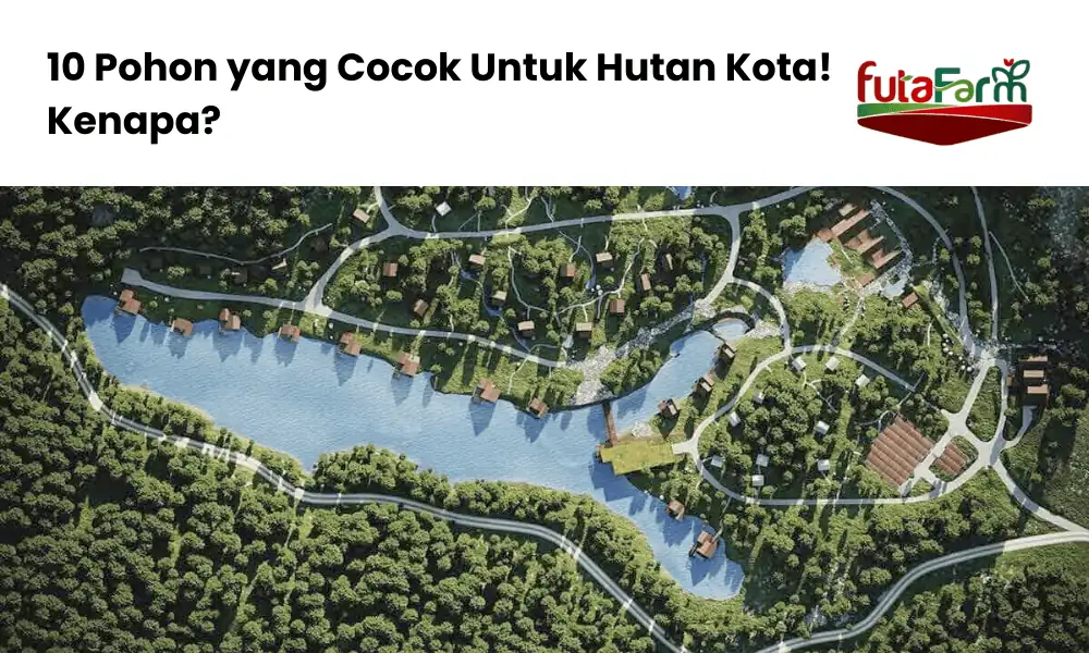 Pohon yang cocok untuk hutan kota Futafarm