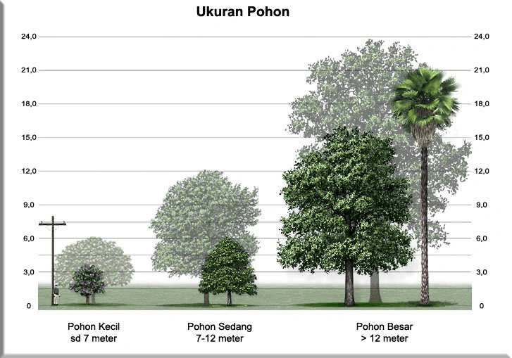 Tabel ukuran pohon