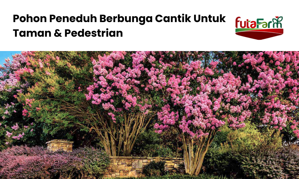 Pohon Berbunga Cantik Futafarm