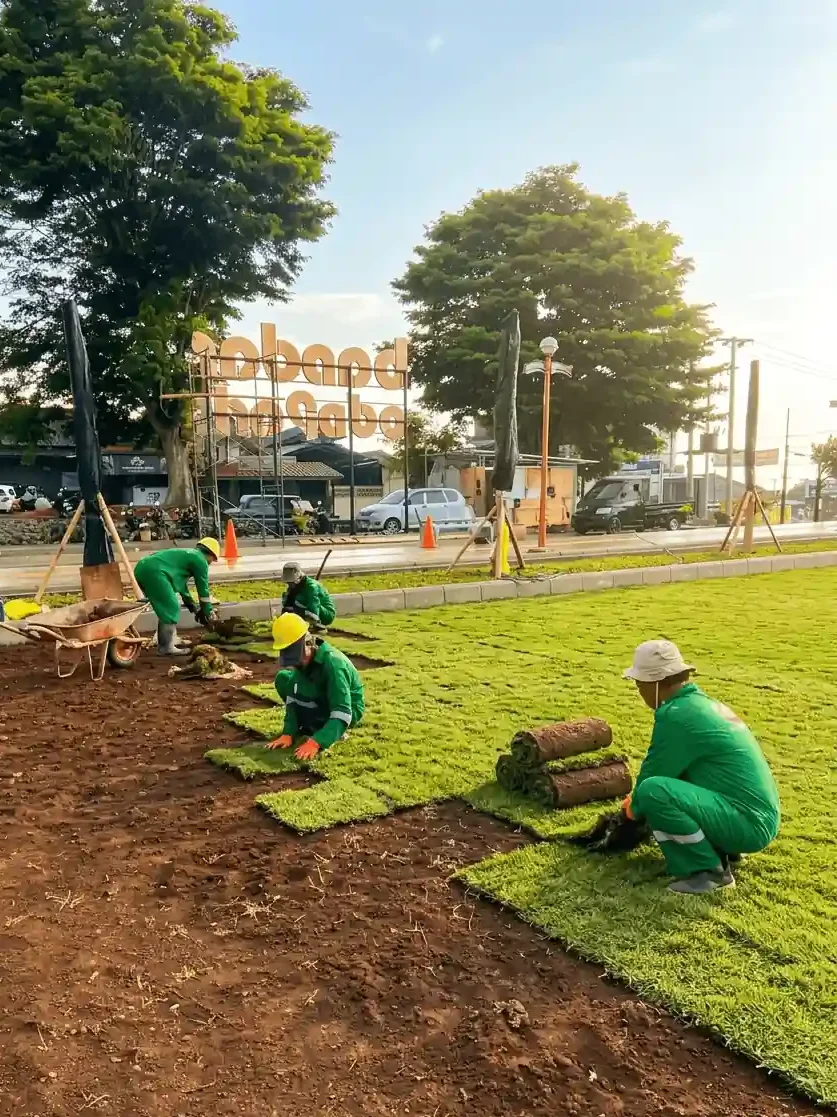 penanaman rumput alun-alun bandar batang