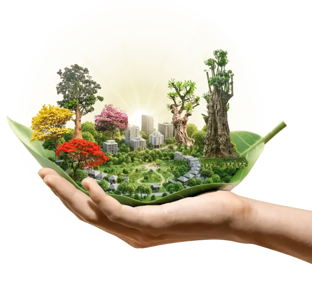 Background Beranda Futafarm